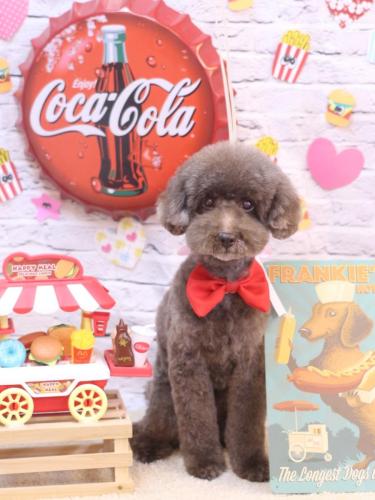 20230907きょうのちゃん